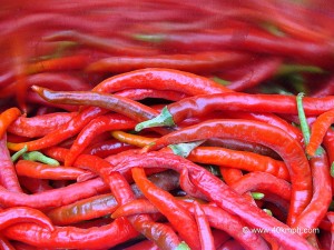Red Chillies, Mathania, Jodhpur, Rajasthan