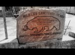 Save Bear Message at Wild Life Sanctuary, Mount Abu, Rajasthan