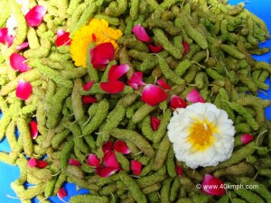 Shahtoot Fruit