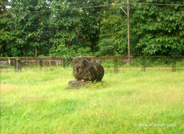 Nandi at Temple site, Cotta Chandor (Salcete, Goa, India)