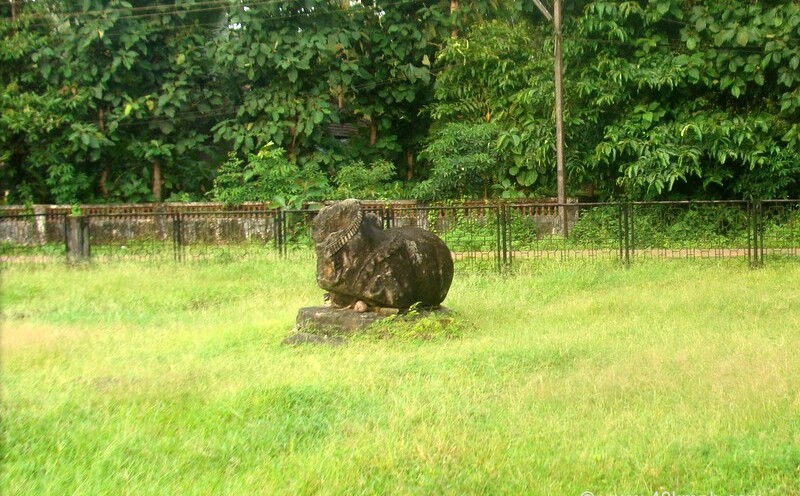 Nandi at Temple site, Cotta Chandor (Salcete, Goa, India)