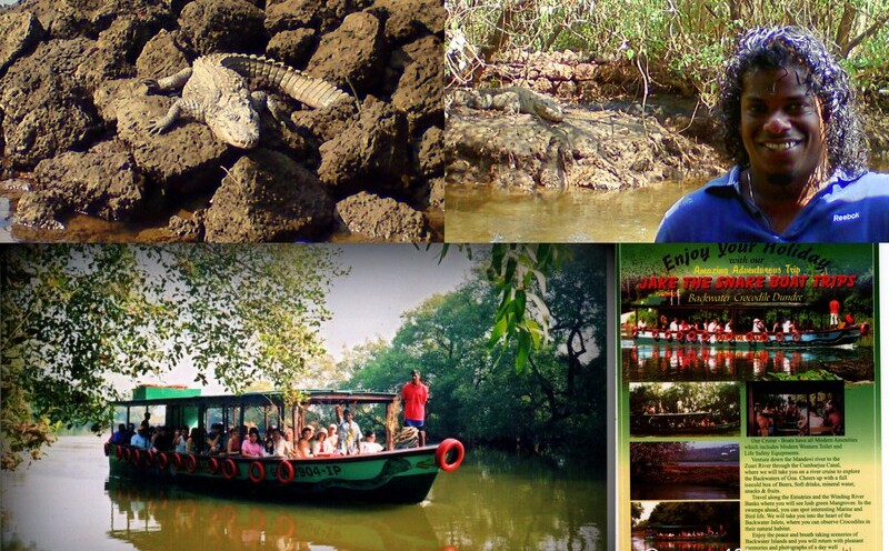 Jake The Snake Boat Trips, Cross Farm, St Estevam Village (Tiswadi, Goa, India)