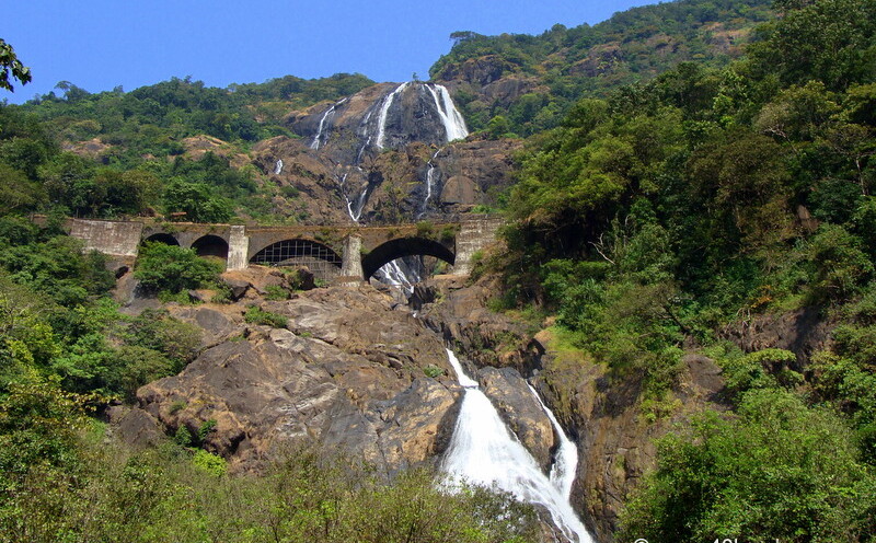 Dudhsagar Waterfalls, Bhagwan Mahaveer Wildlife Sanctuary and National Park, Collem (Sanguem, Goa, India)