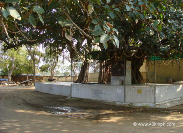 Bhandirvat, Bhandirvan (Mathura, Uttar Pradesh, India)