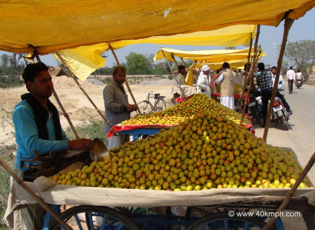 Fruit Vendors Selling Ber Fruit nearby Deeg Railway Fatak, Bharatpur (Rajasthan, India)
