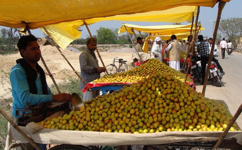 Fruit Vendors Selling Ber Fruit nearby Deeg Railway Fatak, Bharatpur (Rajasthan, India)