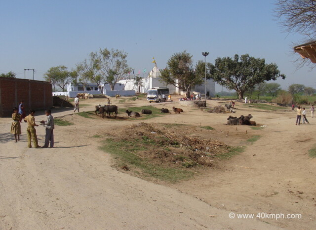 Sri Radharani Mandir, Rawal Gaon (Mathura, Uttar Pradesh, India)