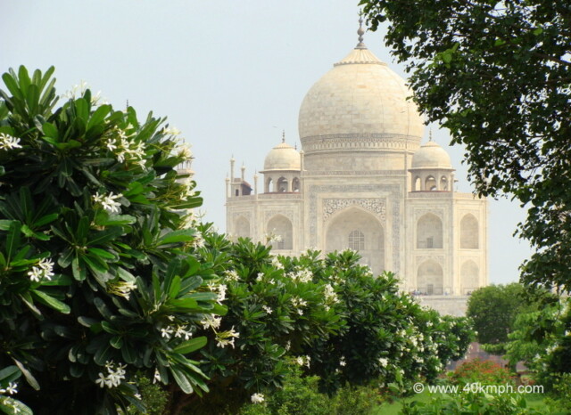 View of Taj Mahal from Mahtab Bagh, Agra (Uttar Pradesh, India)
