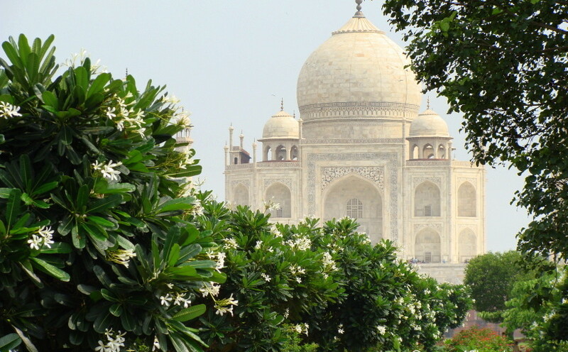 View of Taj Mahal from Mahtab Bagh, Agra (Uttar Pradesh, India)