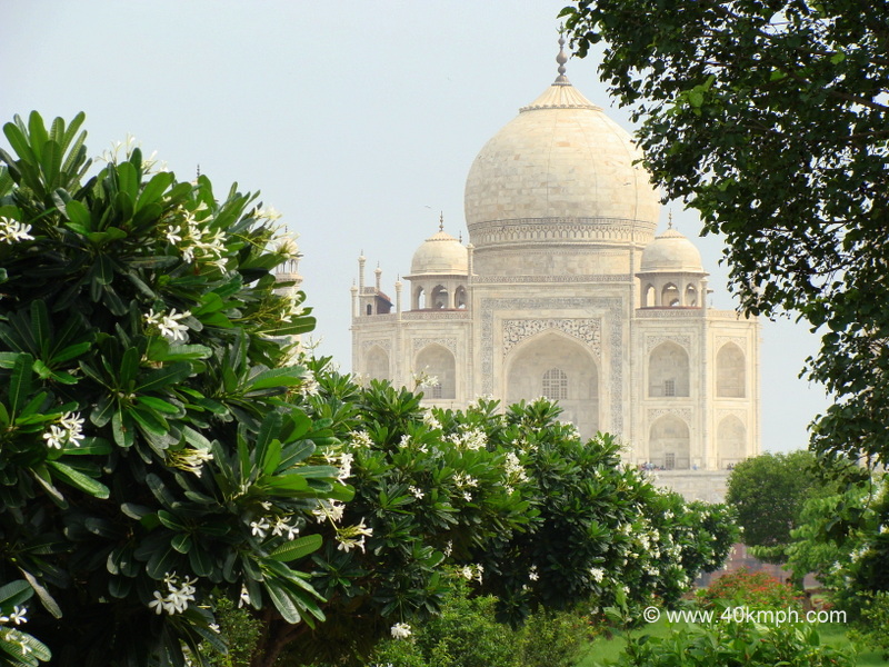 View of Taj Mahal from Mahtab Bagh, Agra (Uttar Pradesh, India)