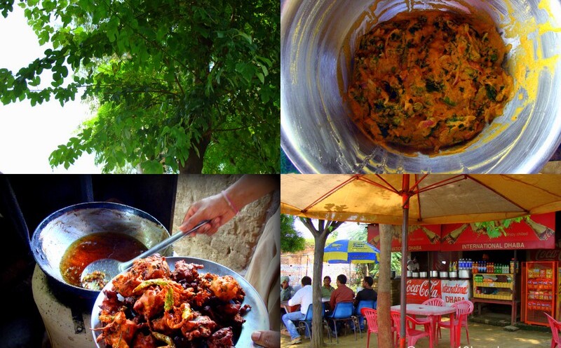 Shahtoot ke Pakore