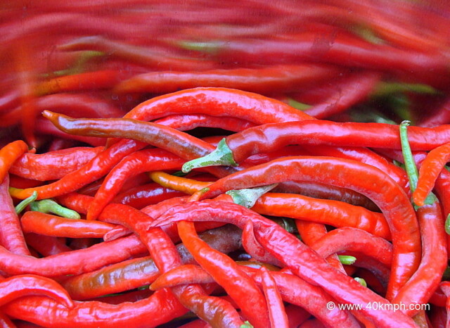 Mathania Red Chillies (Jodhpur, Rajasthan, India)