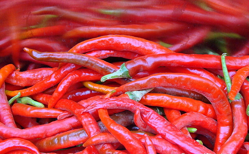 Mathania Red Chillies (Jodhpur, Rajasthan, India)