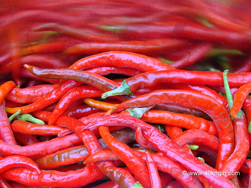 Mathania Red Chillies
