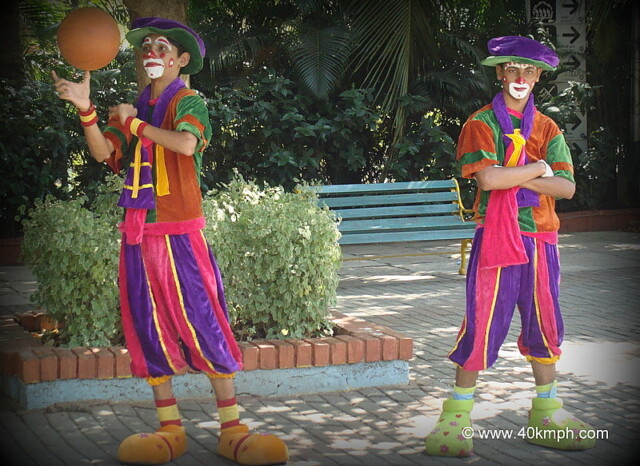 Professional Jugglers