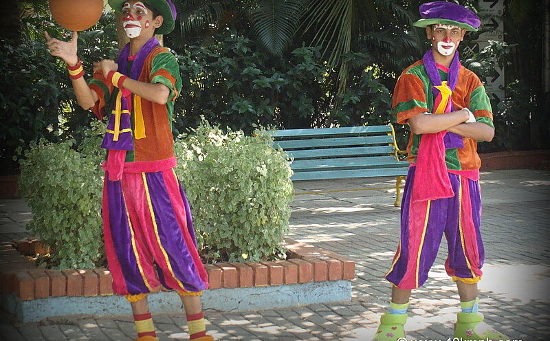 Professional Jugglers