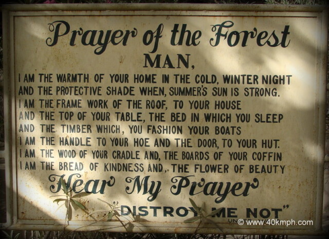Prayer of the Forest at Trevor's Tank, Dilwara Road, Mount Abu, Rajasthan, India