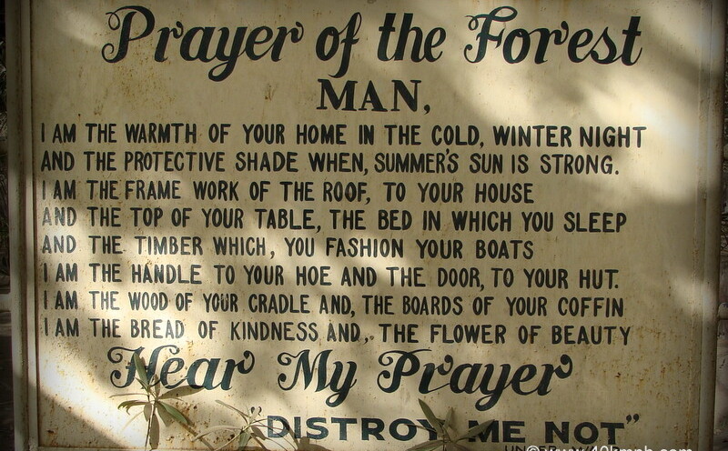 Prayer of the Forest at Trevor's Tank, Dilwara Road, Mount Abu, Rajasthan, India