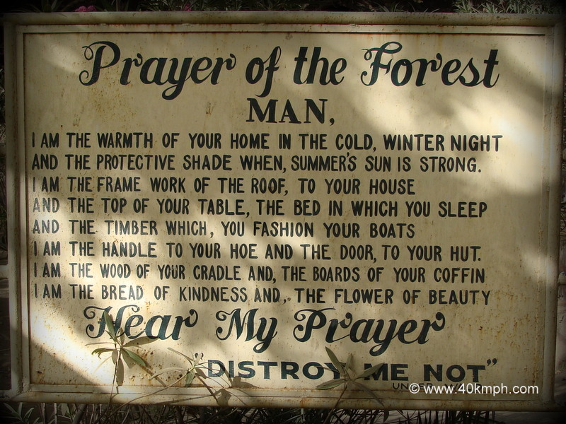 Prayer of the Forest at Trevor's Tank, Dilwara Road, Mount Abu, Rajasthan, India