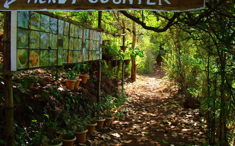 Ticket Counter and The Entrance of Butterfly Conservatory of Goa (Ponda, Goa, India)