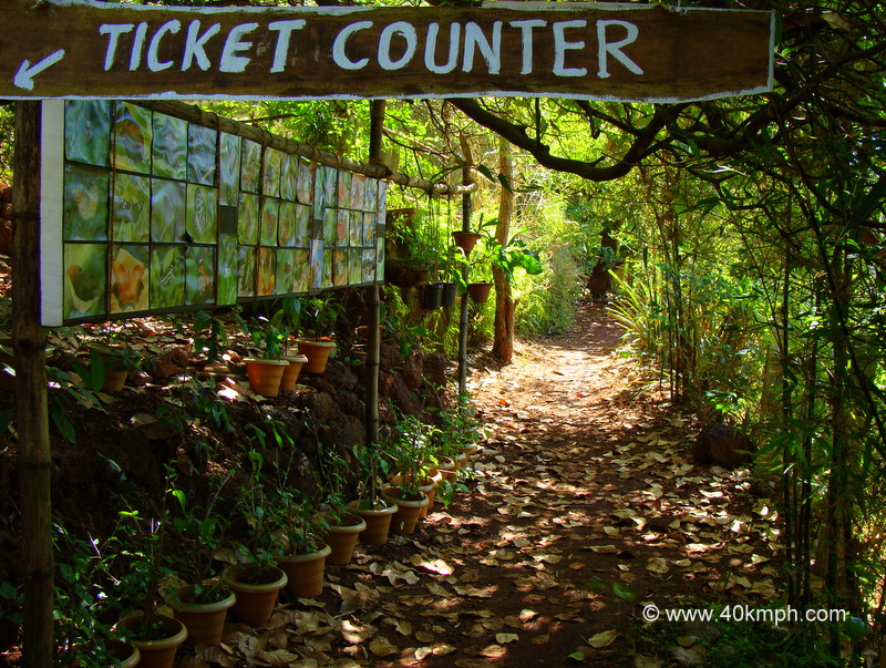 Ticket Counter and The Entrance of Butterfly Conservatory of Goa (Ponda, Goa, India)