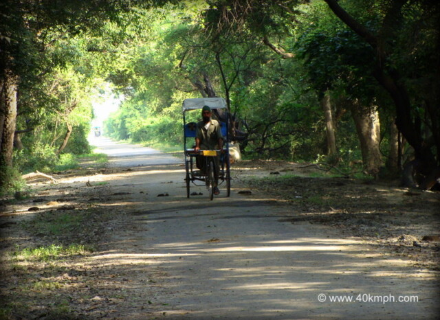 Authorized Sight Seeing Rickshaw at Keoladeo National Park, Bharatpur, Rajasthan, India