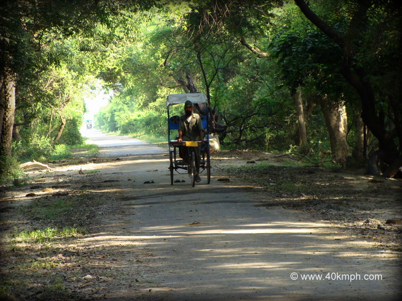 Authorized Sight Seeing Rickshaw at Keoladeo National Park, Bharatpur, Rajasthan, India