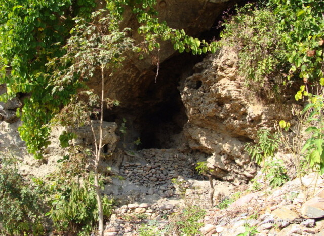 Arundhati Guha, Gular, Uttarakhand, India