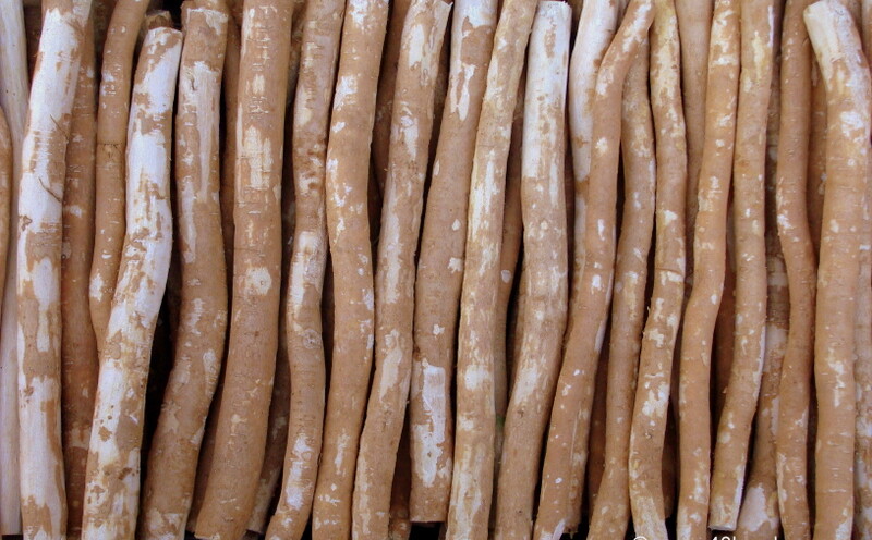 Miswak Sticks at Nizamuddin Basti, New Delhi, India
