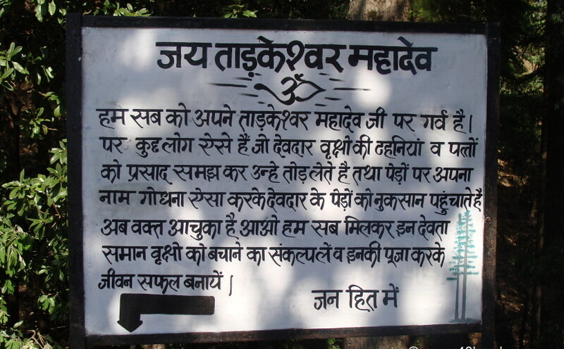 Save Trees Message at Tarkeshwar Mahadev Temple