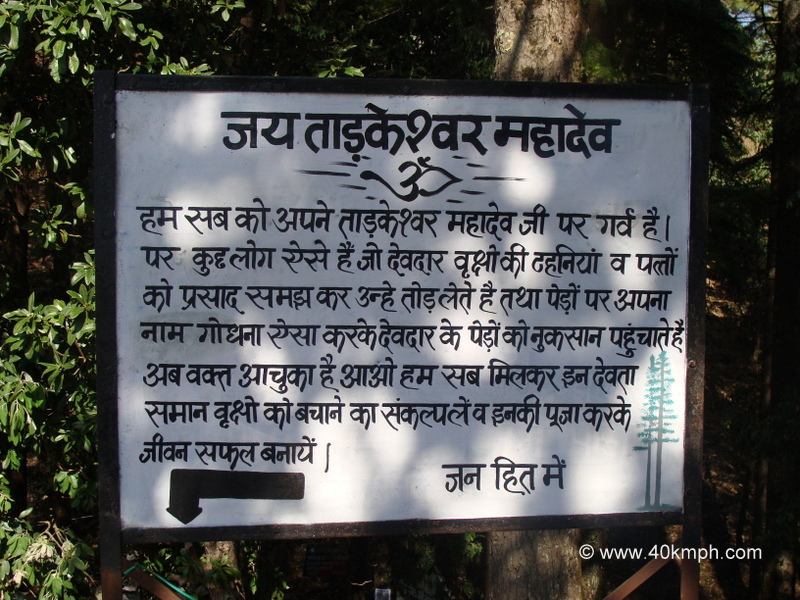 Save Trees Message at Tarkeshwar Mahadev Temple