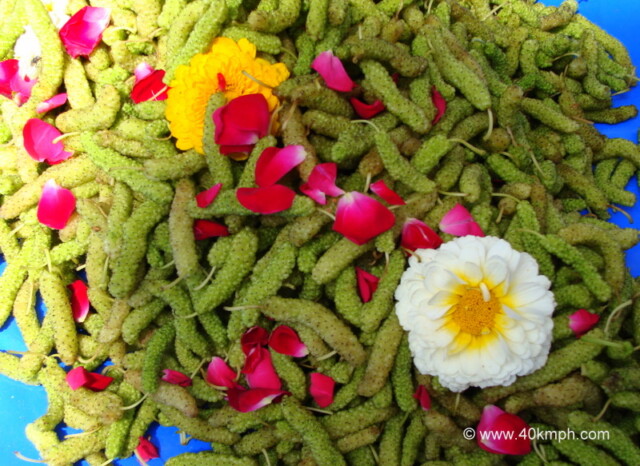 Shahtoot Fruit at Vrindavan, Uttar Pradesh, India