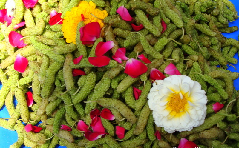 Shahtoot Fruit at Vrindavan, Uttar Pradesh, India