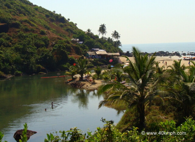 Sweet Lake, Arambol Beach (Pernem, Goa, India)