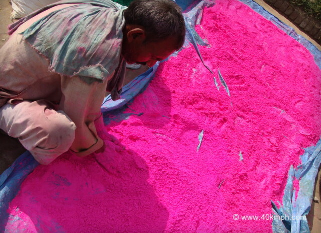 Worker preparing Gulal for Holi at Barsana, Uttar Pradesh, India