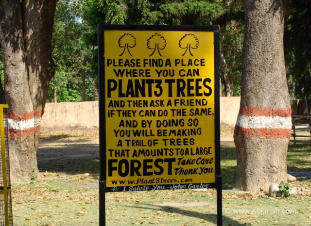 Tree Plantation Awareness Sign at Chilla, Rishikesh, Uttarakhand, India