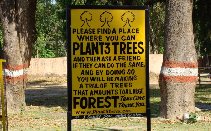 Tree Plantation Awareness Sign at Chilla, Rishikesh, Uttarakhand, India