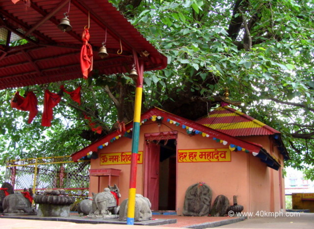 Jyoteshwar Mahadeo Temple and Kalpavriksha, Joshimath, Uttarakhand, India