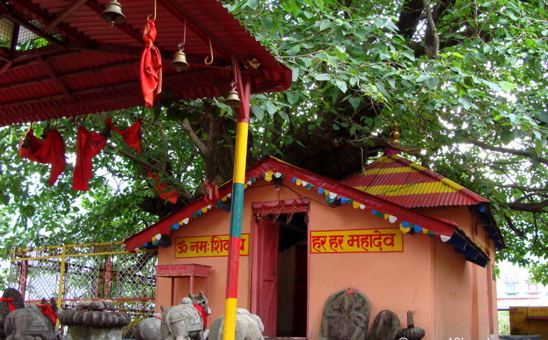 Jyoteshwar Mahadeo Temple and Kalpavriksha, Joshimath, Uttarakhand, India