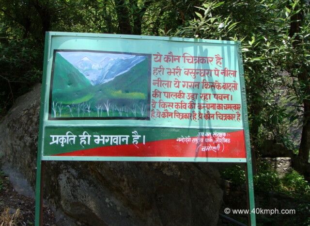 Praising God through Nature and Poetry