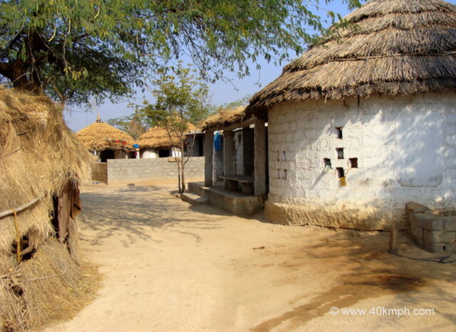Dhani in Bishnoi Village, Jodhpur, Rajasthan, India