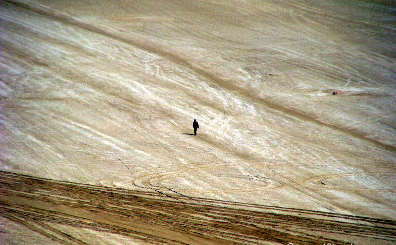 Man Walking in Sambhar Lake, Rajasthan, India