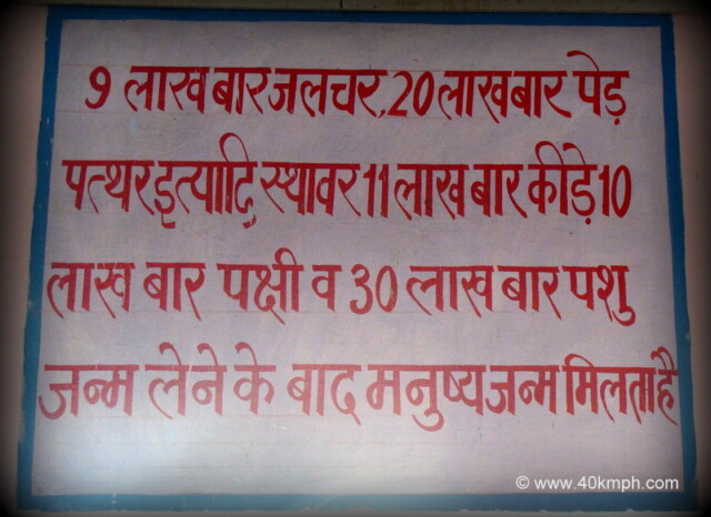 Types of 84 Lakh Births - Display at Shri Pad Peeth Shri Krishna Chaitanya Mahaprabhu temple, Kumudvan Gangasagar (Mathura, Uttar Pradesh, India)
