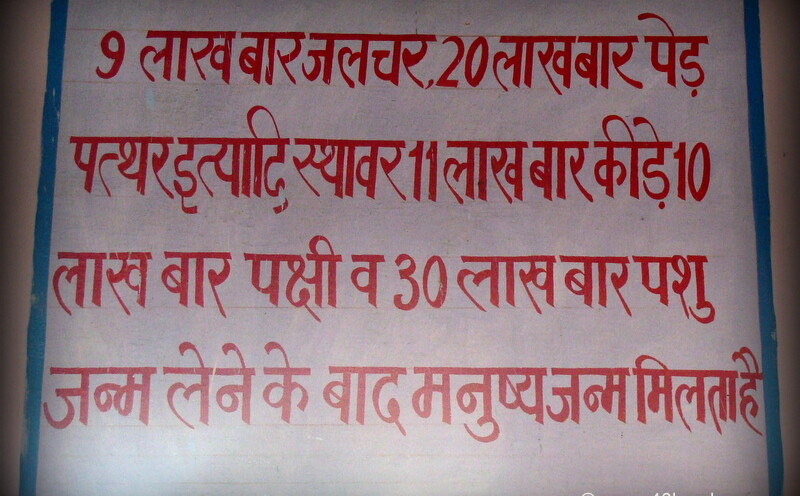 Types of 84 Lakh Births - Display at Shri Pad Peeth Shri Krishna Chaitanya Mahaprabhu temple, Kumudvan Gangasagar (Mathura, Uttar Pradesh, India)