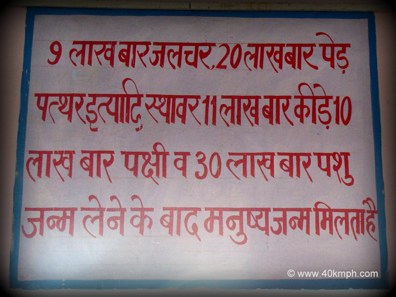 Types of 84 Lakh Births - Display at Shri Pad Peeth Shri Krishna Chaitanya Mahaprabhu temple, Kumudvan Gangasagar (Mathura, Uttar Pradesh, India)