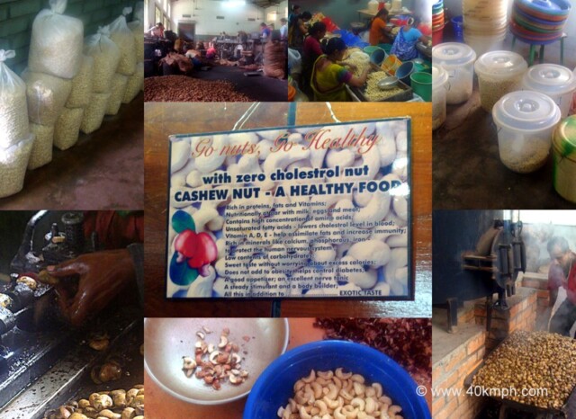Arya Cashew Products Pvt. Ltd., Appevel Village, Sarvorvare Road, Ponda, Goa
