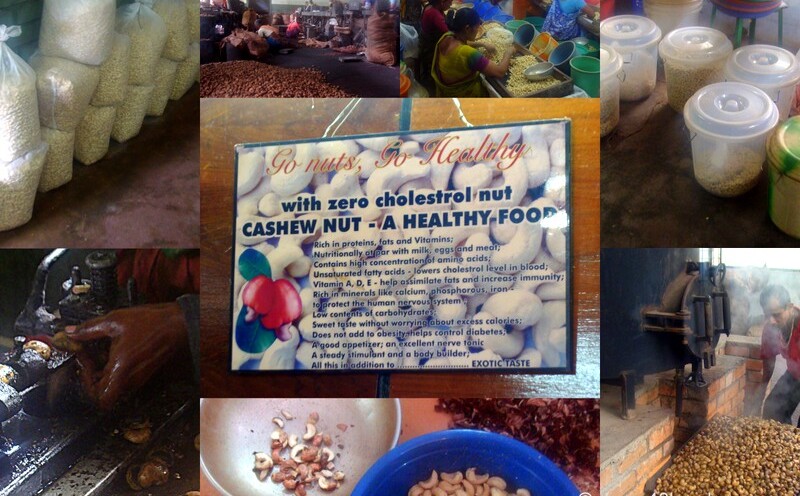 Arya Cashew Products Pvt. Ltd., Appevel Village, Sarvorvare Road, Ponda, Goa