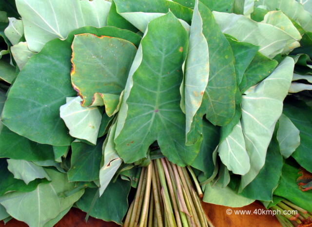Colocassia Leaves at Sabzi Bazar, Loi Bazar in Vrindavan, Uttar Pradesh, India