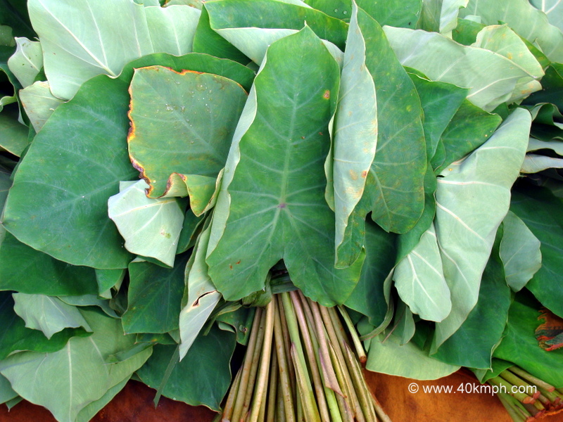 Colocassia Leaves at Sabzi Bazar, Loi Bazar in Vrindavan, Uttar Pradesh, India