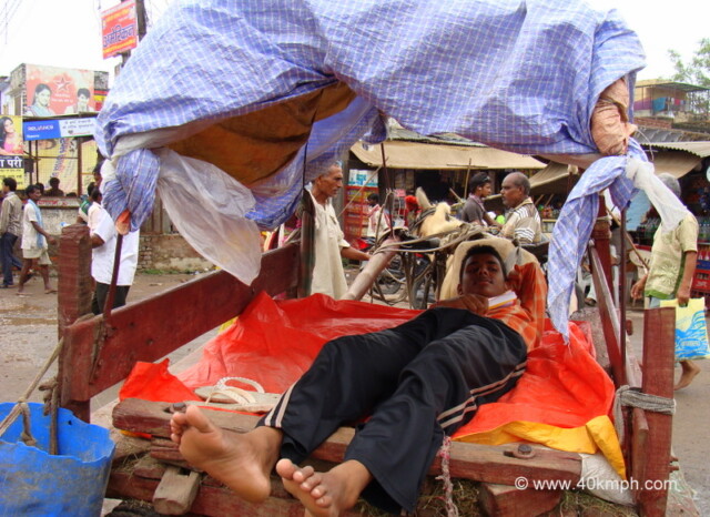 Horse Cart - Local Transport in Vrindavan, Uttar Pradesh, India